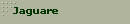 Jaguare